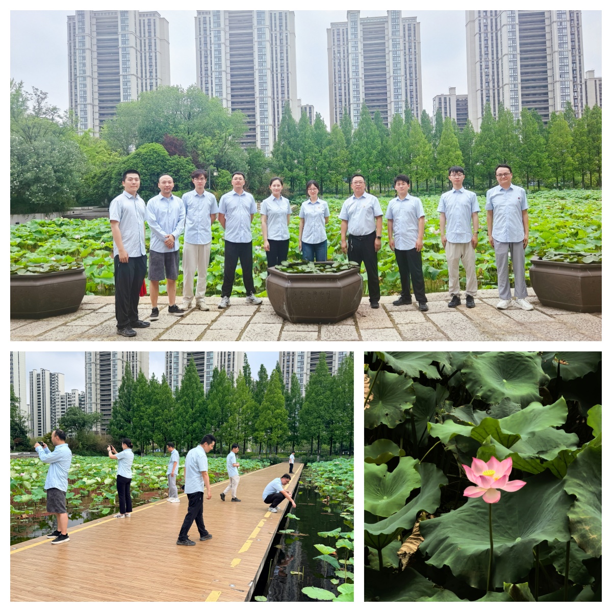 c.jpg